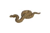 Hahmot - Mojo - Wildlife Green Anaconda - 381007