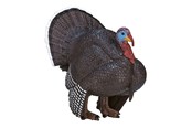 Hahmot - Mojo - Farmland Male Turkey - 387285