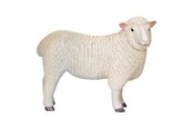 Hahmot - Mojo - Farmland Romney Sheep Ewe - 381064