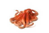 Hahmot - Mojo - Sealife Octopus - 387275