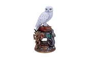 Fanituotteet - Nemesis Now - Harry Potter Hedwig Figurine 22cm - Figuuri - B6148W2