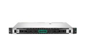 Palvelimet - Hewlett Packard Enterprise HPE ProLiant DL20 Gen11 High Performance - P65396-421