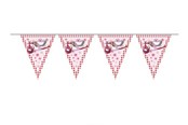 Lelut - Folat BV - Pink Flag Line 6mtr. - 09257