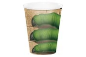 Lelut - Haza Witbaard - Dino Cups 8pcs. - PC375012