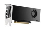 Näytönohjaimet - Dell RTX 2000 Ada - 16GB GDDR6 RAM - Näytönohjaimet - DELL-M7X81