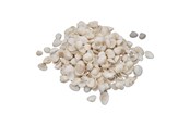 Askartelu- ja taidetarvikkeet - Colorations - Small Ark Shells 500 grams - 38WD12