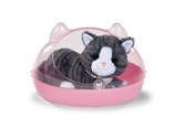 Nuket & tarvikkeet - Baby Born My Cat Cookie with Box - 837580