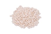 Askartelu- ja taidetarvikkeet - Colorations - Seashells Kauri 300g - 38WD26