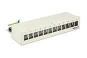 Lisätarvikkeet - DeLOCK Keystone Desktop Patch Panel - 12 Ports - 43335