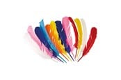 Rooliasut - Boland - Indian Feathers 12pcs. - 44135