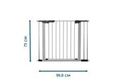 Vauvatarvikkeet - BabyDan Premier Safety Gate with 3 Extensions 92.5-99.8 cm Silver - 500937