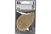Askartelu- ja taidetarvikkeet - Creativ Company - Skeleton Leaves Natural Dried Leaves 20 pcs. - 504493
