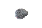 Mikrofonit - Rycote Windjammer FWS 40/55 - RYC055378