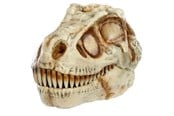 Hahmot - Gross-a-saurus GrossMos Dino - assorted - 0035051521532