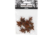 Askartelu- ja taidetarvikkeet - Creativ Company - Star Anise 10 pcs. - 50244