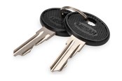 Järjestelmän lisävarusteet - DIGITUS - keys set - KEY 4444