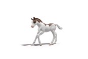 Schleich - Schleich Collectible Foal Dipper - 81459