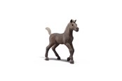 Schleich - Schleich Keräilyvarsa Darcy - 81460