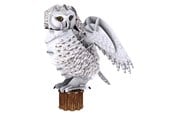 Palapelit - Cubic Fun 3D Puzzle National Geographic Snow Owl 3D Palapeli - 2012564