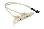 USB kaapelit - DeLOCK USB Panel - 10 pin USB Header to USB - 30 cm - 71000