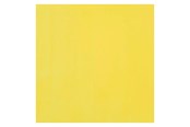 Luovat leikit - Bruynzeel Ecola Poster Paint Bottle 16ml Lemon Yellow (Primary) 205 - 09162050
