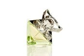 Parfyymit & Tuoksut - Britney Spears Believe Eau de Parfum 30 ml - 719346117708