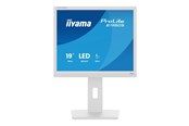 Näyttö - 19" iiyama B1980S-W1 - 1280x1024 - 75Hz - TN - B1980S-W1