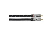 Audiokaapelit - AVINITY 2m 2xRCA audio cable - 00107793