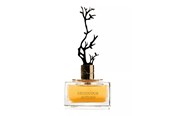 Parfyymit & Tuoksut - Aurora Deciduous Autumn Eau De Parfum For Women 100 ml - 6290360540269