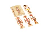Vauva- ja taaperolelut - Bigjigs Wooden Anatomy Puzzle - Girl 26pcs. - 37022