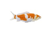 Hahmot - Mojo Sealife Koi Carp - Ochiba Shigure Koi - 381104
