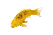 Hahmot - Mojo Sealife Koi Carp - Kin Matsuba Koi - 381105