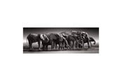 Palapelit - Clementoni Jigsaw Puzzle Herd of Giants 1000pcs. Lattia - 39895