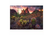 Palapelit - Ravensburger Jigsaw puzzle Cactus 500 pcs. Lattia - 12001380