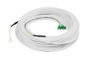 Verkkokaapelit - DIGITUS network cable - 50 m - white - Valkoinen - 50m - DK-3904LCA-50