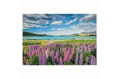 Palapelit - Clementoni Jigsaw Puzzle Flowers at Lake Tekapo 1500pcs. Lattia - 31728