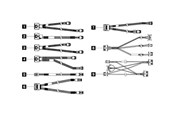 SATA & ATA kaapelit - Lenovo SATA / SAS cable kit - 4X97A82939
