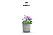 Puutarhatyökalut - Click & Grow HydroVase Indoor Plant Care Kit with LED Light Self-Watering and Automatic Timer - Gray - CGHVGEU