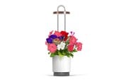 Puutarhatyökalut - Click & Grow HydroVase Grow Fresh Plants Indoors All Year Round with LED Lighting and Self-Watering System - White - CGHVWEU