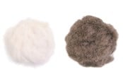 Kissat - Jolly Paw Pehmeät Lelupallot Kellolla & Kissanmintulla 3cm (2 kpl pakkaus) - JP34107