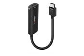 Näyttökaapeli - Lindy adapter cable - 15.7 cm - 38329