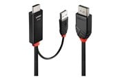 Näyttökaapeli - Lindy adapter cable - 2 m - 41499