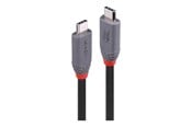 USB kaapelit - Lindy Anthra Line - USB-C cable - 24 pin USB-C to 24 pin USB-C - 2 m - 36958