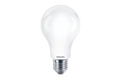 Lamput - Philips LED-lamppu A67 Standard 2000lm 13W/865 (120W) Frosted E27 - 929002372001