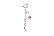 Koirat - Pawise - spiral stake 40cm - 888656751501