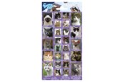 Harrastustarvikkeet - Totum - Sticker sheet Cats - 100668