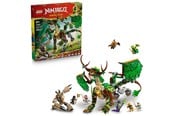 Leikkikeittiöt ja tarvikkeet - LEGO Elämän lohikäärme - 71859