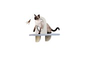 Kissat - AFP - Skywalk Groom & Play Platform - Wall-mounted - 2271