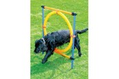 Koirat - Pawise - Agility Ring 55Cm - 636.9004