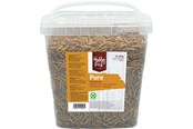 Linnunruoka, välipalat & vitamiinit - Hobby First - Pure Mealworms - 850g - 5400515011532